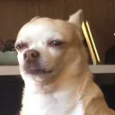 nyxhuntxr_
