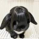 Аватар skienps12