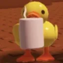 ducky04363