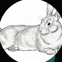 flemish_fan