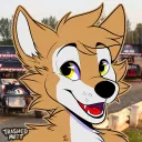 dyron_dykstra5d