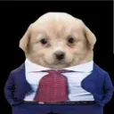 epagad. avatar