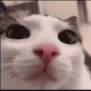 skskskskskskksks_78135 avatar