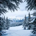 walkertools