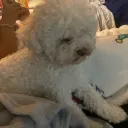 alan040450
