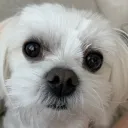 paatu_45668