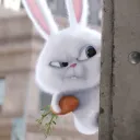 liam.wabbit