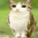 user_h3341tf5ll7r79zt member profile picture