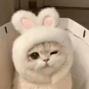 olasocoldw