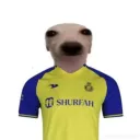 carlitus6439 avatar