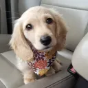 ajbinky