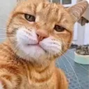 candy.muncher avatar