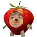 aaronnnzz_