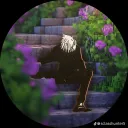 comoestas0326 avatar