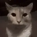 elwinks77
