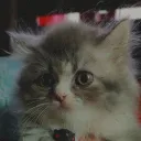 joojgaming.