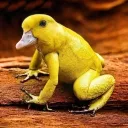 vicoswagger7878 avatar