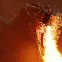 dragonmasteroffical