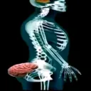 Аватар zzanichka