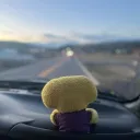 finn_2136