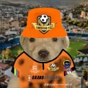 didier0973_20280 avatar