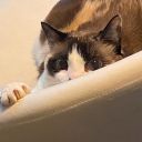 queen_reptar_61928 member profile picture