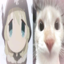 avatar puppy koun (nice list)