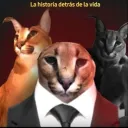 taquito1000621 avatar