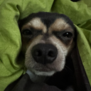 avatar Luca