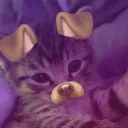 softfuzzball
