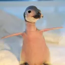 garythepenguin12 avatar