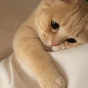 okokaykaka