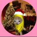 goofyaaahh_mods avatar