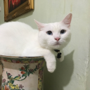 avatar Rayls Custodian