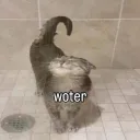 smolrius