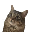 10399