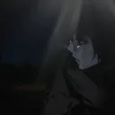 rryirx