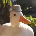 websterdatduck