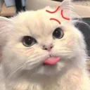 ballyougt avatar