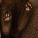 avatar тогузянка