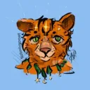 mokka_cat