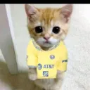 manguito02605 avatar