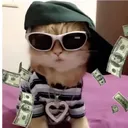 vexwtf_