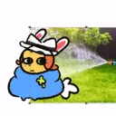 notarealacc0067 avatar