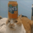 avatar Pusta