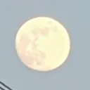 nih0npvp77