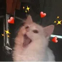 mheann12_05122 avatar