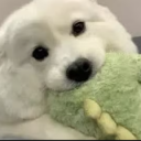 avatar dylan_the_goat