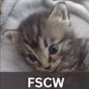 mrkitty_alt