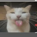 holaquepasa0152 avatar